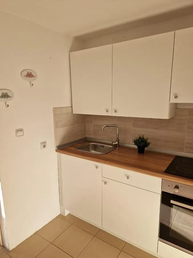 Apartment Misic Rtina